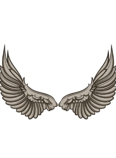 翅膀图案图片