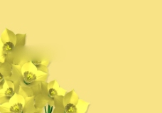 黄色鲜花背景PPT模板