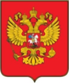 俄罗斯国旗标志4
