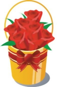 桶的玫瑰花