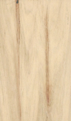木材木纹木纹素材效果图木材木纹 142