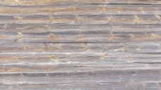 木材木纹国外经典木纹效果图木材木纹 180