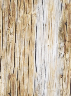 木材木纹木材效果图木材木纹 46
