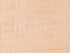 木材木纹木纹素材效果图木材木纹 96