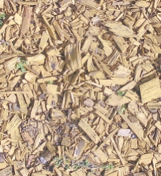 木材木纹国外经典木纹效果图3d材质图 190