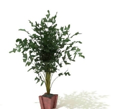 盆景植物3D模型、盆栽植物3D模型免费下载-16