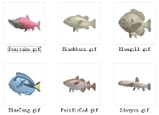 动物鱼类3d模型动植物模型免费下载动植物3d模型 34