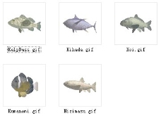 动物鱼类3d模型动植物模型免费下载鱼类3d素材 65
