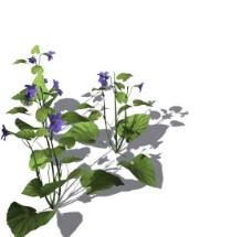 小型花卉植物3D模型免费下载，带材质-20