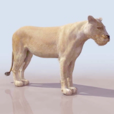 动物哺乳动物3d模型免费下载动植物 23