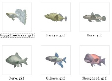 动物鱼类3d模型动植物模型免费下载鱼类3d素材 63
