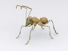 动物昆虫3d模型动植物模型素材免费下载虫类3d模型 13
