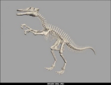 动物恐龙爬行类3d模型素材免费下载动物模型 4