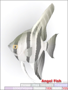 动物鱼类3d模型动植物模型免费下载3d模型免费下载 33