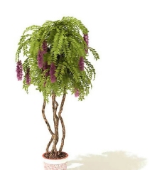 盆景植物3D模型、盆栽植物3D模型免费下载，含材质-27