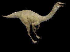 动物恐龙爬行类3d模型素材免费下载动物模型 9