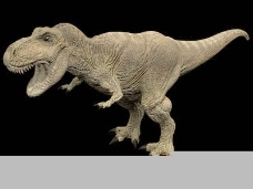 动物恐龙爬行类3d模型素材免费下载3d模型免费下载 14