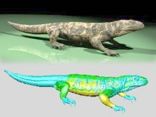 动物恐龙爬行类3d模型素材免费下载动物模型 23