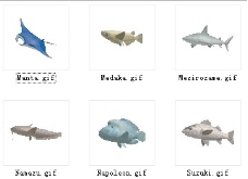 动物鱼类3d模型动植物模型免费下载3d模型免费下载 3