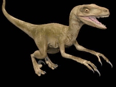 动物恐龙爬行类3d模型素材免费下载3d模型免费下载 8