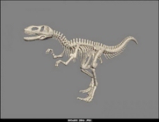 动物恐龙爬行类3d模型素材免费下载3d模型免费下载 5