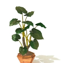 盆景植物3D模型、盆栽植物3D模型免费下载，含材质-22