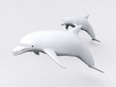 动物鱼类3d模型动植物模型免费下载鱼类3d素材 62