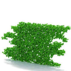 园林植物景观植物树木3D模型免费下载39