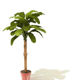 盆景植物3D模型、盆栽植物3D模型免费下载，含材质-23