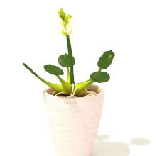盆景植物3D模型、盆栽植物3D模型免费下载，含材质-47