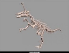 动物恐龙爬行类3d模型素材免费下载恐龙模型素材 3