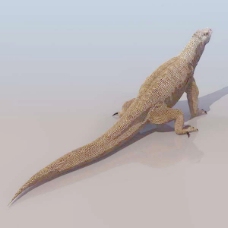 动物恐龙爬行类3d模型素材免费下载恐龙模型素材 18