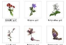 植物3D模型、花草植物3D模型免费下载，含材质-4
