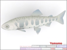 动物鱼类3d模型动植物模型免费下载鱼类3d素材 42