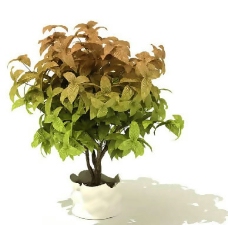 盆景植物3D模型、盆栽植物3D模型免费下载-8