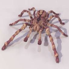 动物昆虫3d模型动植物模型素材免费下载动物模型 1