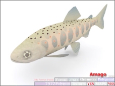 动物鱼类3d模型动植物模型免费下载动植物3d模型 31