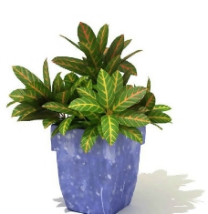 盆景植物3D模型、盆栽植物3D模型免费下载，含材质-45