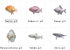 动物鱼类3d模型动植物模型免费下载动物3d模型 23