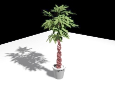植物盆栽室内装饰素材免费下载3d模型素材115