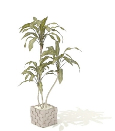 植物盆栽室内装饰素材免费下载盆栽3d模型素材101