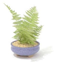室内植物植物盆栽室内装饰素材免费下载3d模型素材156