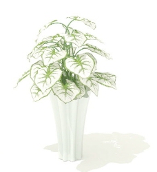 植物盆栽室内装饰素材免费下载盆栽3d模型免费下载171
