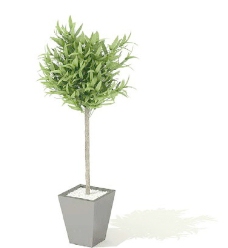 室内植物植物盆栽室内装饰素材免费下载盆栽3d模型素材146