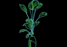 植物盆景花卉CAD饰物陈设图纸素材7
