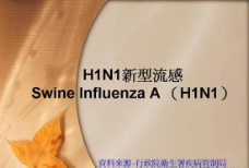 H1N1流感ppt