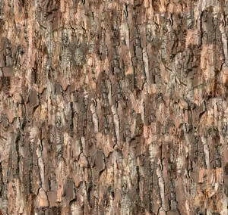 树木3d树皮高质量材质贴图20080924更新21