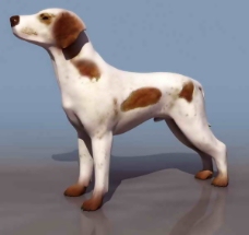小狗-动物3D模型素材