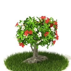 精品国外植物3D模型48