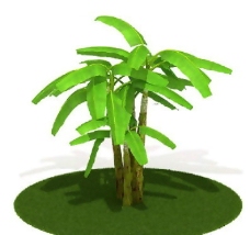 精品国外植物3D模型12